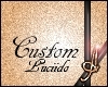 [IS]Luciido Custom Frame