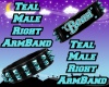 Teal (M) R ArmBand