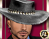 MALE DURANGO HAT N HAIR