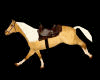 animated horse palomino