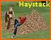 Haystack with Poses
