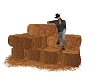Hay Bales with poses
