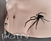 lK. Spider Kaayri