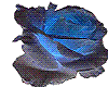 Blue iced rose