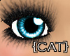 {CAT}Cyan Cute Eyes