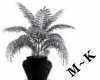 [M~K] Sweet Silver Plant