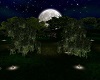 Moon Light Forest