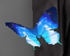 7Pretty Blue Butterflies
