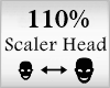 Scaler Head 110%