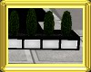 BUSHES ADDON