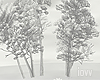 Iv"Winter Trees