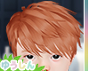 Hiru Ginger