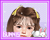 Hair Brown Daira