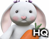 Bunny Toy
