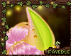 🌿 Starfruit Ears V3