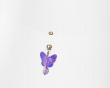 Purple butterfly belly