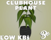 *BO PLANT CLUBHOUSE 2