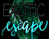 Exotic Escape Club Logo