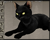 Cuddle Black Cat Animate