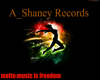 A_SHANEY RECORDS FRAME