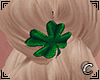 St Patrick's Hair