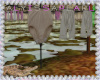 :A: Swamp Clothes Line