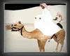 Animated Arabian Camel