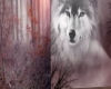 The Mystic Wolf