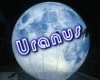 CHILL 3 ura1-13