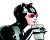 Catwoman Shade Cutout
