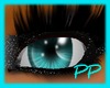 [PP] Baby Blue Eyes