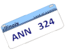 Ann  License Plate