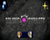 SoliousDynasty Banner