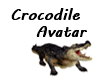 Crocodile Avatar