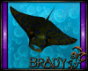 [B]manta ray