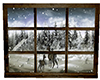 :) Christmas Window