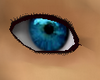Aqua Blue Eyes [M]