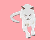 Y*White Cat