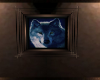 Blue Wolf  Alpha Picture