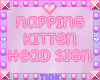 Napping Kitten