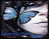 Butterfly Tears