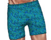 Aqua/Blue Swim Shorts