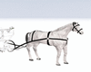 Wedding Horse n Carriage
