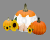 Autumn Wedding Pumpkins