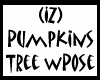 (IZ) Pumpkins Tree wPose