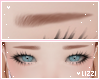 ♡ Eyebrows - Honey