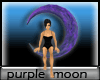Purple Moon Seat