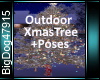 [BD]OutdorrXmasTree+Pose