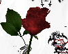 GCI - red S Rose w/rings