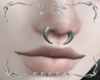 ✧･ﾟSEPTUM V2
